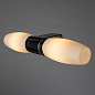 A1209AP-2CC Arte Lamp Aqua подсветка для зеркал E14 2х40W — фото 1
