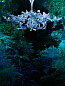 Люстра Ivy Shadow Large with Flute Porta Romana MCL37L — фото 4