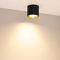 055025 Arlight Светильник SP-BISCOTTO-R90-8W Warm3300-MIX (BK-GD, 80 deg, 230V) — фото 3