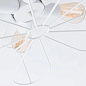Потолочная люстра Arte Lamp CAMOMILLA A6049PL-6WH — фото 2