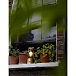The Muse Tala Портативный светильник латунный MUSE-PBL-SB-01 — фото 13
