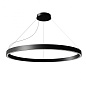 BZRC1715G15DBO Nemo Zirkol Circle Bi SP M подвесной светильник с круговым двунаправленным светом белый — фото 1