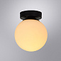 A2224PL-1BK Arte Lamp Alcor настенно-потолочный светильник E14 1х40W — фото 1