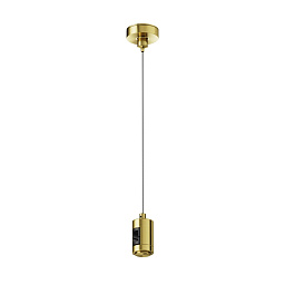 TRA157SW-S1-BS Maytoni Flarity подвесной трековый светильник цилиндрической формы латунного цвета для трековой системы на стойках Flarity