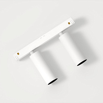 Nyto Track 48V Adjustable 30 2x LED Spot 1-10V