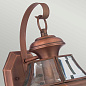 Настенный уличный светильник Newbury Quoizel QZ-NEWBURY2-M-AC лакированная состаренная медь — фото 1