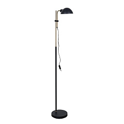 A7055PN-1BK Arte Lamp ZETTA торшер с шарообразным плафоном на стойке