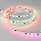 039179 Arlight Лента SPI-B60-10mm 12V RGB-PX3-BPT (12 W/m, IP20, 5060, 5m) — фото 4
