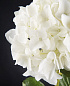 HYDRANGEA GRAPDE Искусственное растение VGnewtrend — фото 1