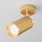 C034CL-01G Maytoni Focus Design Потолочный светильник 10W Матовое Золото — фото 1