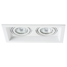 A6661PL-2WH Arte Lamp CANIS встраиваемый потолочный светильник с двумя плафонами