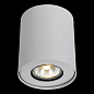 A5633PL-1WH Накладной светильник Falcon Arte Lamp