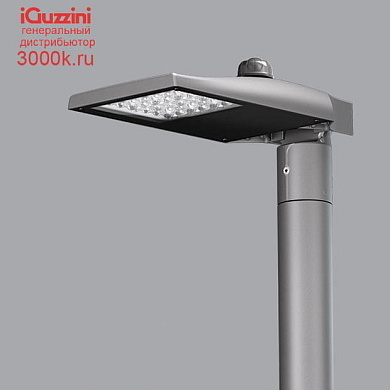 EX14 Street iGuzzini Pole-mounted system - ST1 optic -  Neutral White - DALI - ø 46-60-76mm - Zhaga
