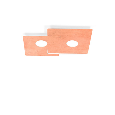 потолочный светильник прямоугольной формы с двумя плафонами