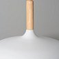Подвесной светильник Arte Lamp KAYLA A7099SP-1WH — фото 2