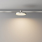 Трековый светильник Maytoni Plato 10W 590лм Платина TR153-1-10W3K-PT — фото 3