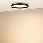054797 Arlight Светильник SP-ESTELY-R450-40W Warm3300-MIX (BK, 80 deg, 230V, TRIAC) — фото 2