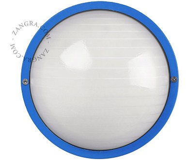 Настенно-потолочный светильник Zangra Daffodil IP44