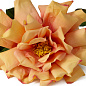Искусственное растение Roses Eichholtz 119280 — фото 4