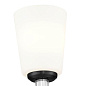 Rosalind 12.5" 1 Light Vanity Light Black настенный светильник 55145BK Kichler — фото 5