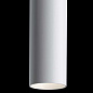 Подвесной светильник Track lamps Maytoni TR016-2-12W4K-W