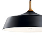 Danika 1 Light Pendant Black подвесной светильник 43683BK Kichler — фото 1