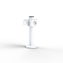 Bornéo N° 2; - no sources - FRENCH SOCKET; White