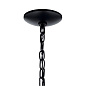 Tuscany 24" 5 Light Chandelier with Clear Seeded Glass Black люстра 44060BK Kichler — фото 5