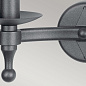 Настенный светильник Warwick Elstead WR2-GRAPHITE графитово-черный — фото 2
