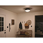 Bretta 13.5" 2 Light Flush Mount Black  потолочный светильник 52544BK Kichler — фото 4