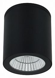 A1813PF-1BK Arte Lamp A1813 накладной светильник