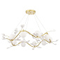 Люстра Crystal Lux COLIBRI SP10 GOLD — фото 2