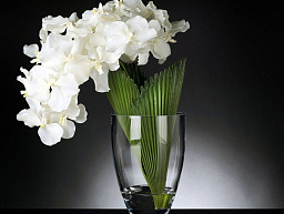 1141366.95 VGnewtrend Orchid Искусственное растение