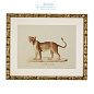 111745 Prints EC262 Lion, Tigre, Jaguar set of 6  Eichholtz