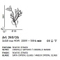 IDL Orchidea 260/2A Rovere striato V285/00.96/22 бра