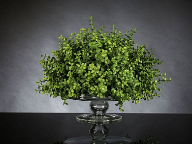 EUCALYPTUS Искусственное растение VGnewtrend