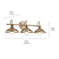 Clyde 3 Light Vanity Light Champagne Bronze настенный светильник 45945CPZ Kichler — фото 12