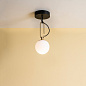 Artemide NH 14 Ceiling PL дизайнерский потолочный светильник — фото 1