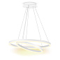 RING 60 Led Technology подвесной светильник — фото 2