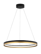 Triac Dimmable Black & Brass Gold Metal & Acrylic LED 33 Watt 220-240 Volt 2900Lm 3000K IP20 D: 60 H: 150 cm