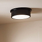 Serca 18" 3 Light Flush Mount Black потолочный светильник 52541BK Kichler — фото 5