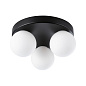 71069 Paulmann Gove IP44 G9 230 В макс. 3 x 20 Вт с регулировкой яркости, черный матовый/сатиновый — фото 5