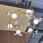 Люстра Crystal Lux COLIBRI SP6 GOLD — фото 3