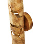 Бра 4802-1W Leaftube Favourite — фото 4