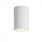 PLPIVO0132BCLED Axolight Pivot 1 PL LED дизайнерский потолочный светильник белый — фото 1
