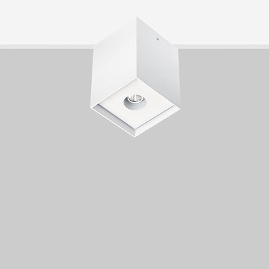 Настенно-потолочный светильник Arik 10 Flexalighting