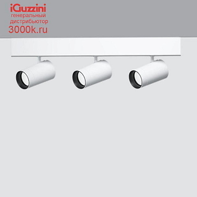 QX43 Palco Recessed iGuzzini Palco linear surface 3 x Ø51 - flood - integrated driver