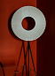 Напольный светильник Iris Floor Tripod 80 DCW éditions — фото 2