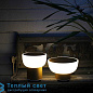 PATIO уличная настольная лампа Alma Light 2010/010 GOLD + 9995/010