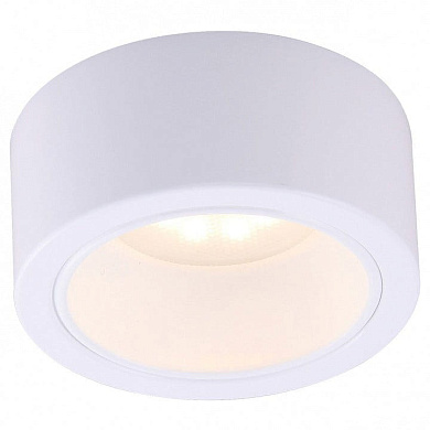 A5553PL-1WH Накладной светильник Effetto Arte Lamp